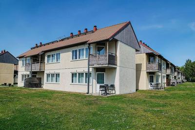 GotlandStay Volontären