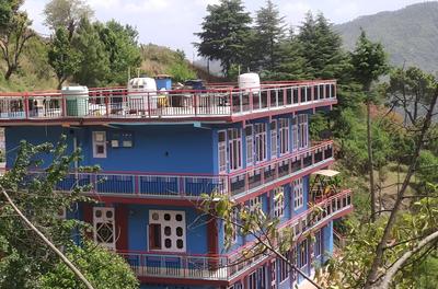 Winter Valley Chail Homestay