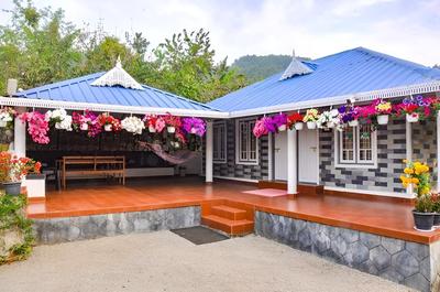 Rainforest Kanthalloor