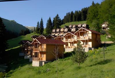 Hamsiköy Zitaş Bungalov & Restoran