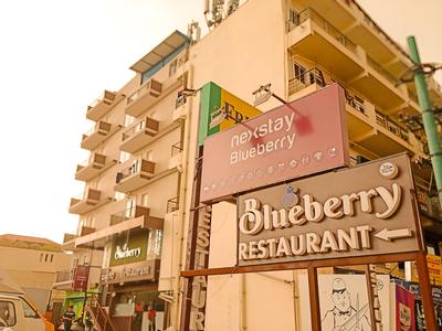 Nexstay Blueberry