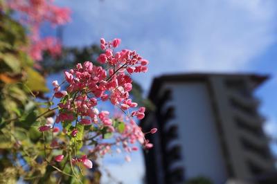 The Restique Apartment