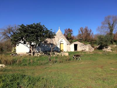 Il Giardino di Viola