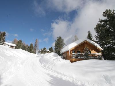 Spacious Chalet near Ski Area in Turracherhohe