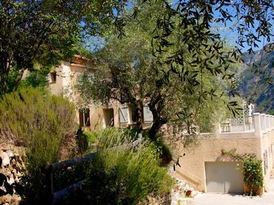 Le Mont D'olivine