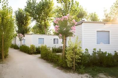 Camping de l'Espiguette