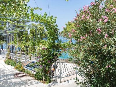 Apartment Villa Rosea