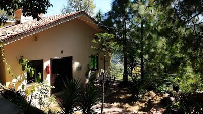 Whispering Pines Hotel & Residences