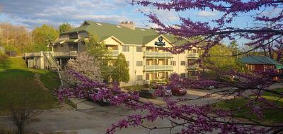Grand Wood Suites