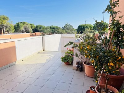 Flat With Terrace Overlooking the Pool