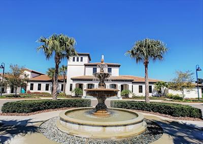 Dahlia Garden by Florida Spirit