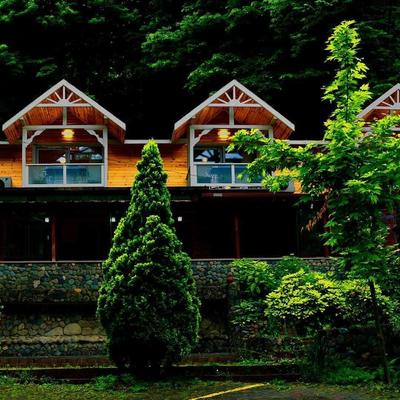 maşukiye dream homes