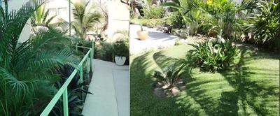 CONDO MANGOS  BY TRVL2HM