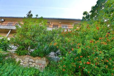 Comfortable Apartment With Balcony & Garden View