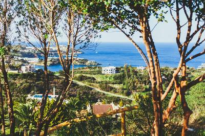 Wild Pear Villa
