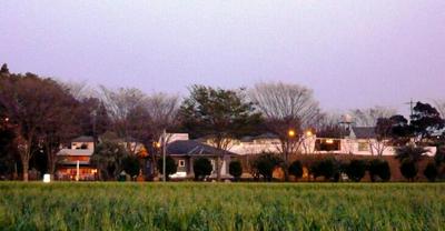 Lilac Hotels and Resort