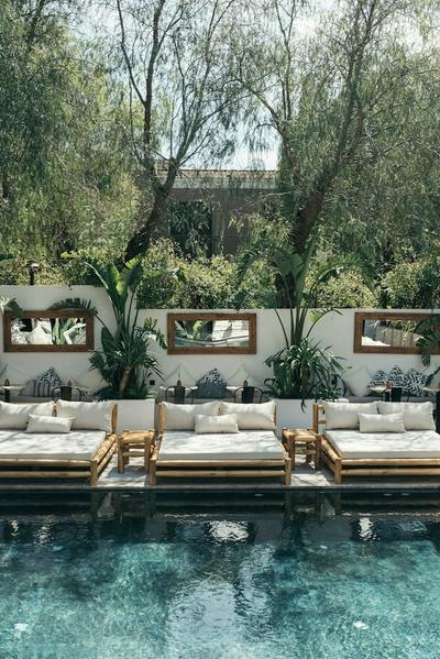 Primus Nefes Adults Only