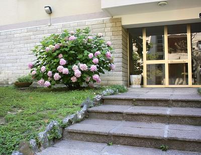 B&B da Thais un piacevole relax