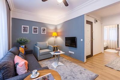Missafir Superb Flat in the Heart of Cihangir