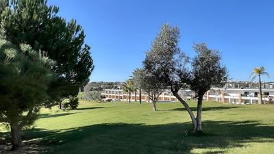 Branca CIP