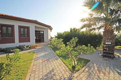 Karina Vineyard Evi - Image 78