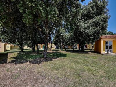 Gite in a Holiday Park With Pool