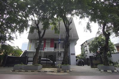 House of Arsonia Tulip