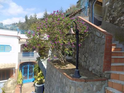 Maison des fleurs