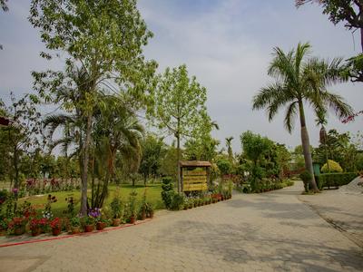 Jungle Nepal Resort