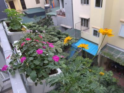 Palmo Serviced Apartment 3