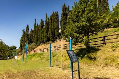 Vecchia Fattoria Castelli