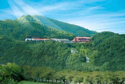 Chungju Suanbo Park Hotel