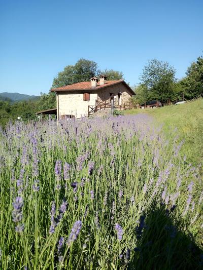 Il Casale del Ben-Essere