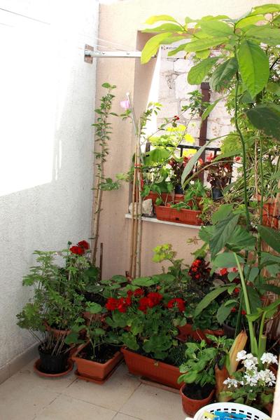 Apartment Bucevic