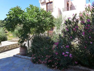 Villa in Axos With Pool Near Panormo Beach