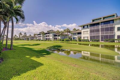 Sunny Ocean Village Beach Condo: Community Pool