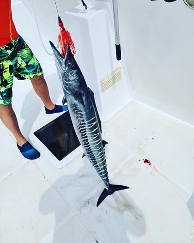 Yacht Fascination Maldives