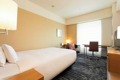 Hotel Nikko Kansai Airport