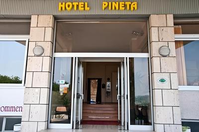 Pineta