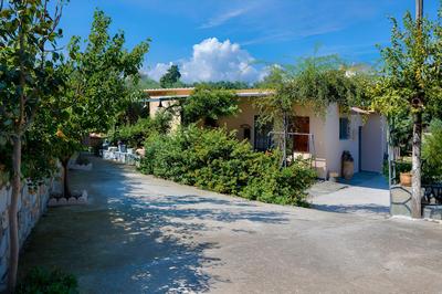 The Olive House