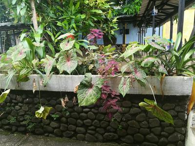 Hotel y Restaurante Paradise