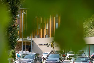 OYO 12051 Stay By the Way