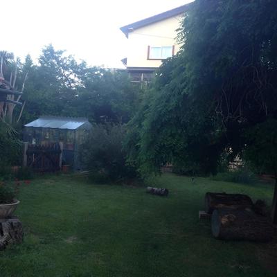 B&B Falcone