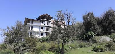 Hotel Himalayan Oak
