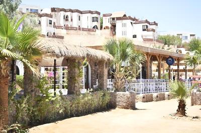 sunshine diving center