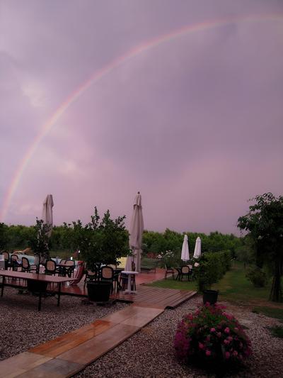 La Prosciutta