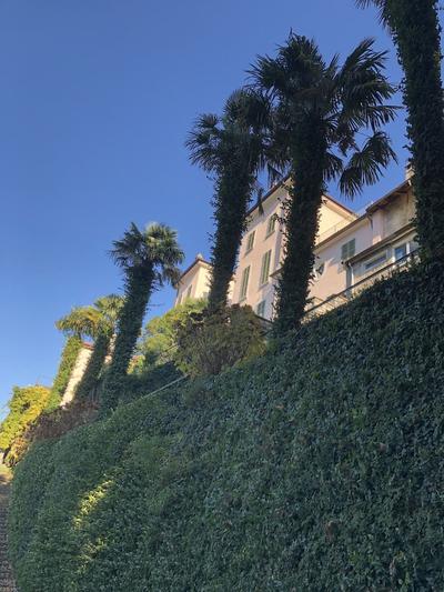 Villa Giudici Luxury app on the Lake