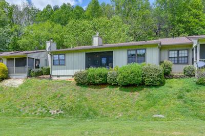 Bright Franklin Villa: Fireplace, Golf Course View