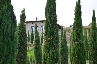 Feudi Enchestre B&B, Bilde 2