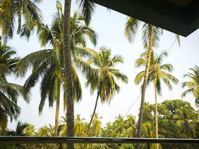 OYO 832 near Calangute KFC